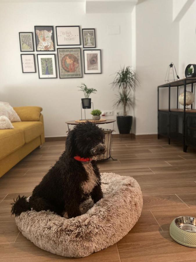 Las Casas De Lola Канделеда Екстериор снимка